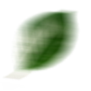 foglia green energy foglia